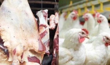 ব্রয়লার ফের ২৫০, গরু ৮০০, বেড়েছে সেমাই, চিনি পোলাও চালের দাম