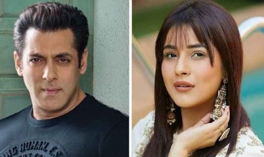 সালমান খানকে নিয়ে নতুন যে ইঙ্গিত দিলেন শেহনাজ গিল