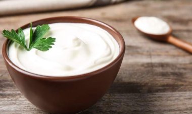 টক দইয়ের সঙ্গে যা খেলে কমতে পারে ওজন