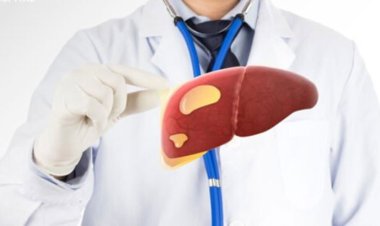 শুধু মদ্যপান নয়, লিভারের ক্ষতি করে আরও ৬ খাবার! 