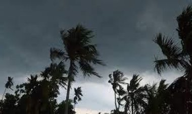 ঢাকাসহ ৮ বিভাগে ঝড়-বৃষ্টির আভাস, কমবে তাপমাত্রা