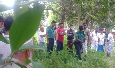 গাজীপুরে এক রশিতে ঝুলছিল দুই বন্ধুর নিথর দেহ