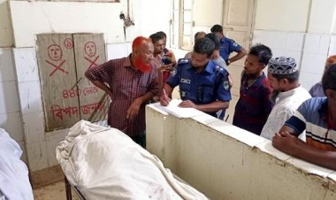 সাতক্ষীরায় ধানবোঝাই ট্রাক উল্টে নিহত ২, আহত ১৭