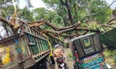 কলকাতায় এক মিনিটের কালবৈশাখীতে প্রাণ গেল ৯ জনের