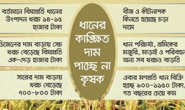 বোরো মৌসুম: ধান বেচে উঠছে না উৎপাদন খরচ, দিশেহারা কৃষক