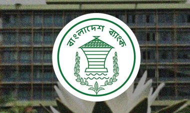 কেন্দ্রীয় ব্যাংক থেকে ঋণ নি‌য়ে চল‌ছে সরকার