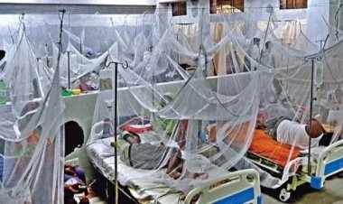 ডেঙ্গু আক্রান্ত হয়ে আরও ৪৬ জন হাসপাতালে 