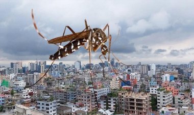 অসময়ে ডেঙ্গুর ভয়াবহতা: জলবায়ুর সঙ্গে দায়ী নগরবাসীও