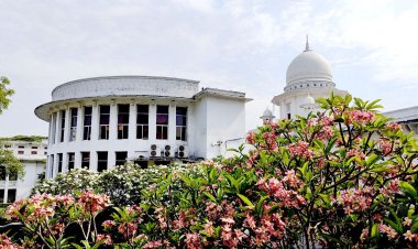 ডিসিরা নিজেরা রাজত্ব কায়েম করেছেন, তারা আদেশ মানেন না: হাইকোর্ট