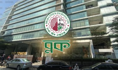 বিমার শেয়ারেই ৩০০ কোটি টাকার লেনদেন