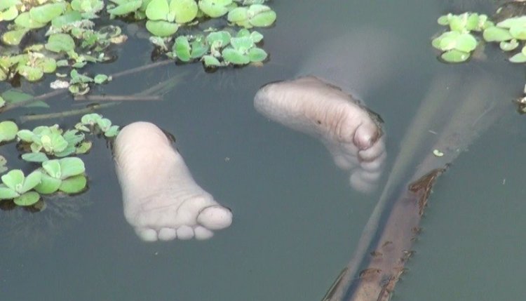 নারায়ণগঞ্জে বুড়িগঙ্গায় ভাসছিল শিশুর লাশ