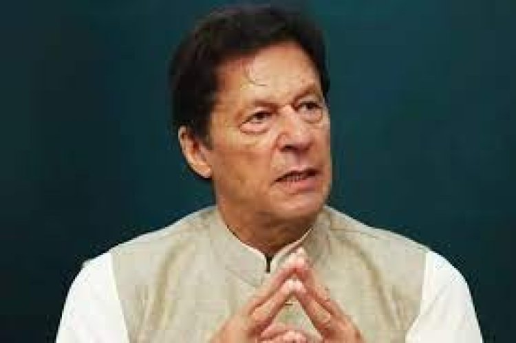 ইমরানের বাড়িতে যাবে পাঞ্জাব পুলিশের প্রতিনিধিদল, ক্যামেরার সামনে হবে তল্লাশি: আমির মীর