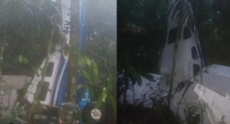 বিমান বিধ্বস্তের দুই সপ্তাহ পর চার শিশুকে জীবিত উদ্ধার