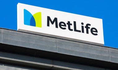 মানতে হবে শর্ত: যুক্তরাষ্ট্রে ৮১৮ কোটি টাকা নিতে পারবে মেটলাইফ