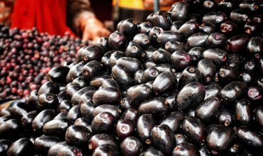 জাম খাওয়ার ৭ উপকারিতা জেনে নিন