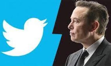 টুইটারে মাস্কের চেয়ারে নতুন সিইও