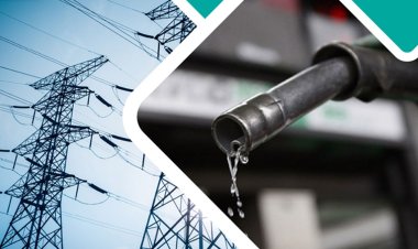 বিদ্যুৎ ও জ্বালানি খাতের ঋণ কত, জানতে চায় কেন্দ্রীয় ব্যাংক