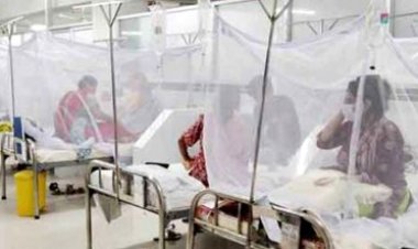 ডেঙ্গু আক্রান্ত হয়ে আরও ২ জনের মৃত্যু, হাসপাতালে ১৩৪