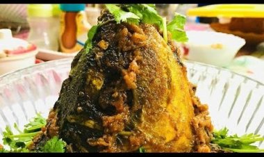 মাছের মাথা খেলে কি সত্যিই বুদ্ধি বাড়ে?