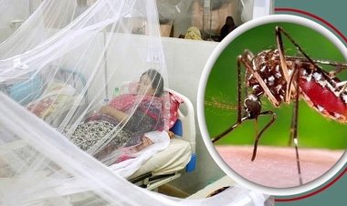 ডেঙ্গুতে আরও একজনের মৃত্যু, হাসপাতালে ১৫৬