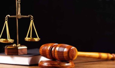 ঢাবি ছাত্রকে প্রলয় গ্যাংয়ের মারধর : প্রতিবেদন ৩১ জুলাই