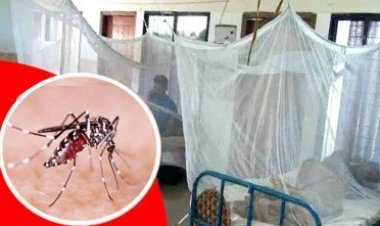 দেশে দ্রুত বাড়ছে ডেঙ্গু রোগী ও মৃত্যু