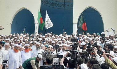 ওই ৮৭ হাজার ভোটই হাতপাখার : মাওলানা সৈয়দ মোছাদ্দেক