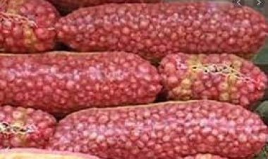 বেশী লাভের আশায় মজুত করা পেঁয়াজ এখন গুদামে পচছে