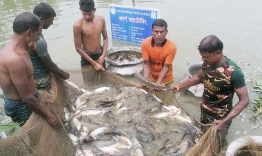 ২০২১-২২ অর্থবছরে ৭৪০৪২.৬৭ টন মাছ বিদেশে রপ্তানি হয়েছে