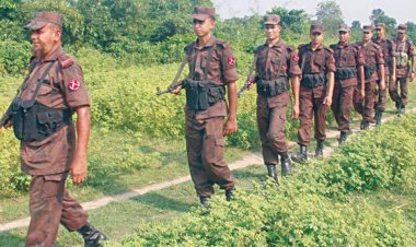 ভুয়া অনুমোদনে গরু চোরাচালানের চেষ্টা : কঠোর অবস্থানে বিজিবি