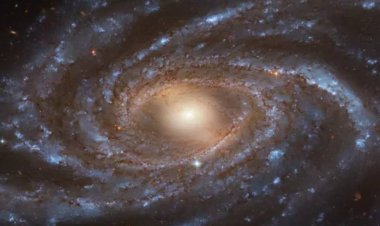 সূর্যের থেকে উত্তপ্ত এক নক্ষত্র-সঙ্গী