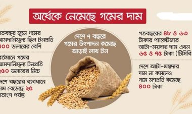 বিশ্ববাজারে অর্ধেকে নেমেছে গমের দাম, সুফল নেই দেশে