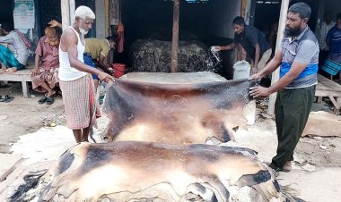 ত্রিমুখী সংকটে রাজারহাটের চামড়া ব্যবসায়ীরা
