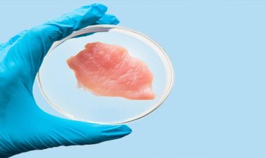 ল্যাব উৎপাদিত মাংস বিক্রির অনুমোদন মিললো যুক্তরাষ্ট্রে