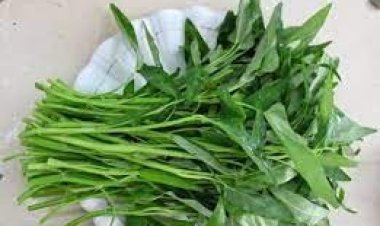 কলমি শাক খাওয়ার উপকারিতা