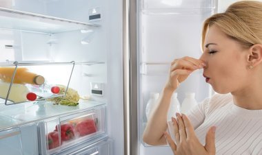 ফ্রিজে দুর্গন্ধ? জেনে নিন দূর করার সহজ উপায়