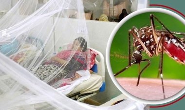 ডেঙ্গুতে আরও ৩ জনের মৃত্যু, হাসপাতালে নতুন ভর্তি ৩৯৯