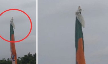 বিজেপির পতাকায় ঝুলছে কনডম!