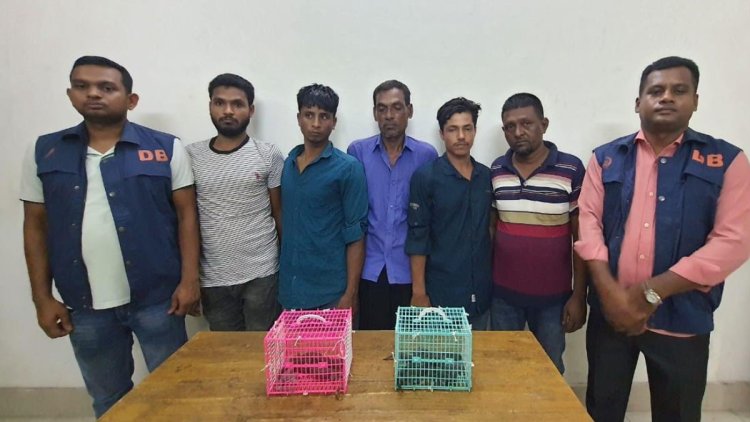 চট্টগ্রাম থেকে ৭ তক্ষক উদ্ধার, গ্রেপ্তার ৫