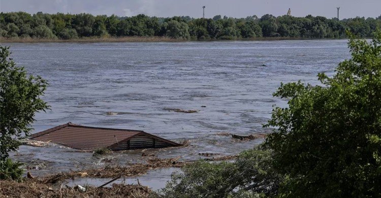 খেরসনে বাঁধ ধ্বংস: ইউক্রেনের বিপুল কৃষিজমি প্লাবিত, ক্ষতি রাশিয়ারও