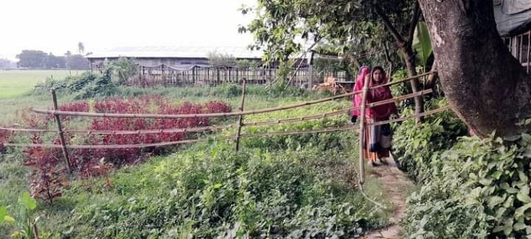নারী উদ্যোক্তাকে মারধর, ফার্মের রাস্তায় প্রভাবশালীর বাঁশের বেড়া!
