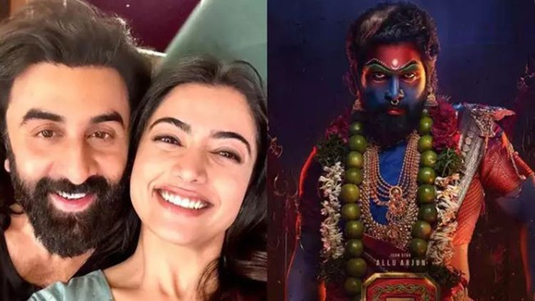 পুষ্পা ২ শ্যুটিংয়ে রশ্মিকা, রণবীর কাপুরকে নিয়ে যা বললেন অভিনেত্রী