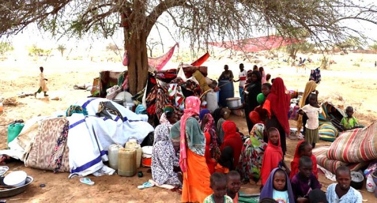 সুদান থেকে পালিয়েছে ৫ লাখেরও বেশি মানুষ : জাতিসঙ্ঘ