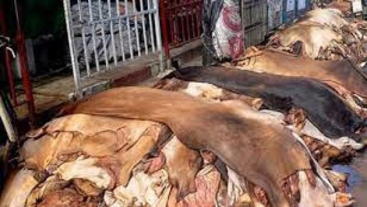 কোরবানি পশুর চামড়ার মূল্য নির্ধারণ