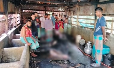 দুর্বৃত্তের আগুনে পুড়লো চার গরু, দগ্ধ খামারি
