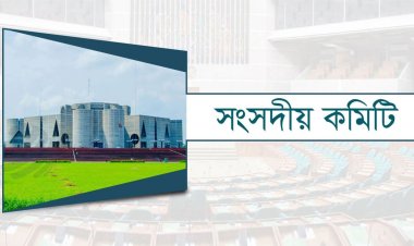 পারিবারিক আদালত বিলের সংশোধিত রিপোর্ট দিতে সুপারিশ