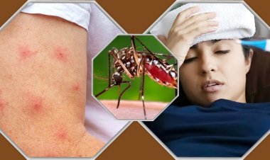 এডিস মশা কখন কামড়ায়, চিনবেন কীভাবে?