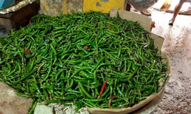 আবারও কাঁচা মরিচে আগুন