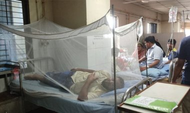 টিকিট কাটা-চিকিৎসকের সিরিয়ালে সময় পার, সেবায় সন্তোষ