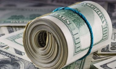 ডলারের দাম নিয়ন্ত্রণে আপ্রাণ চেষ্টা